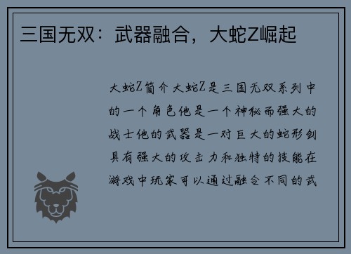 三国无双：武器融合，大蛇Z崛起